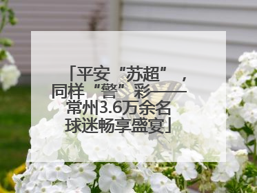平安“苏超”，同样“警”彩——常州3.6万余名球迷畅享盛宴