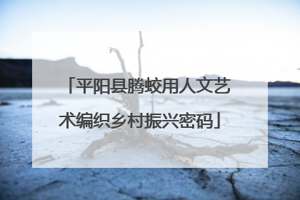 平阳县腾蛟用人文艺术编织乡村振兴密码