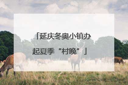 延庆冬奥小镇办起夏季“村晚”