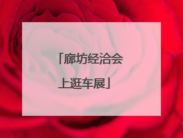 廊坊经洽会上逛车展