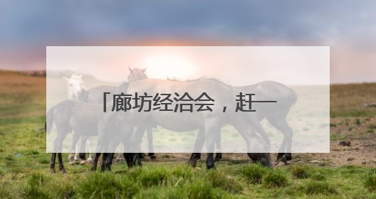 廊坊经洽会，赶一场国际化的经济大集｜新京报评论