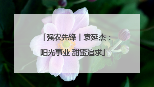 强农先锋丨袁延杰：阳光事业 甜蜜追求