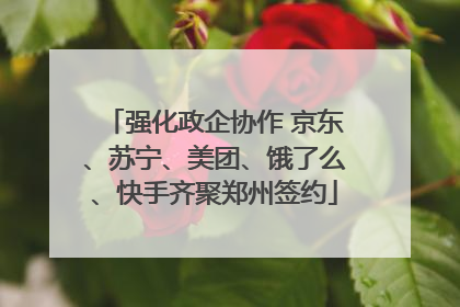 强化政企协作 京东、苏宁、美团、饿了么、快手齐聚郑州签约