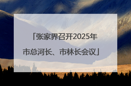 张家界召开2025年市总河长、市林长会议