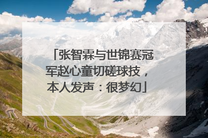 张智霖与世锦赛冠军赵心童切磋球技，本人发声：很梦幻