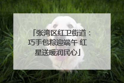 张湾区红卫街道：巧手包粽迎端午 红星送暖润民心
