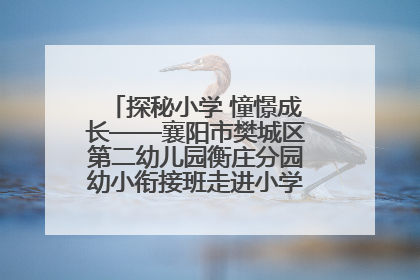 探秘小学 憧憬成长——襄阳市樊城区第二幼儿园衡庄分园幼小衔接班走进小学开展参观体验活动