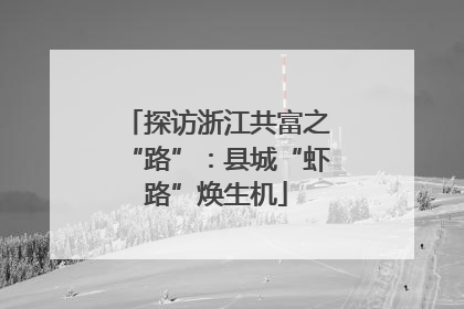 探访浙江共富之“路”：县城“虾路”焕生机