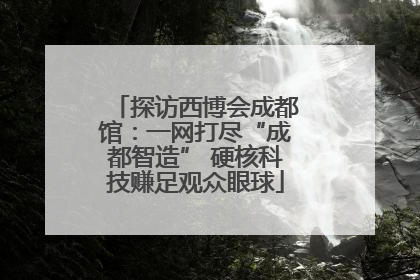 探访西博会成都馆：一网打尽“成都智造” 硬核科技赚足观众眼球