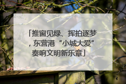 推窗见绿、挥拍逐梦，东营港“小城大爱”奏响文明新乐章