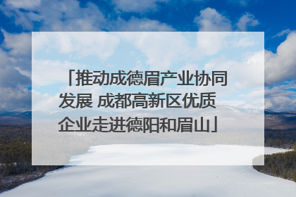 推动成德眉产业协同发展 成都高新区优质企业走进德阳和眉山
