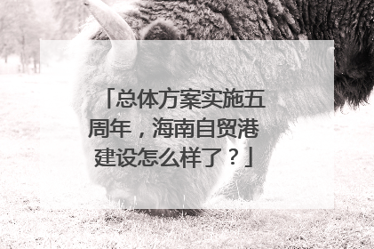 总体方案实施五周年，海南自贸港建设怎么样了？