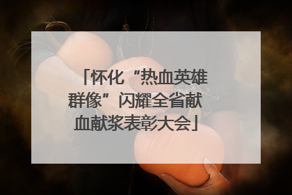 怀化“热血英雄群像”闪耀全省献血献浆表彰大会
