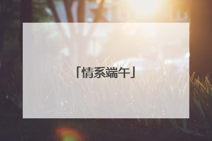 情系端午