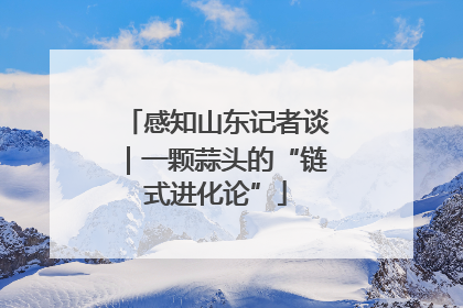 感知山东记者谈｜一颗蒜头的“链式进化论”