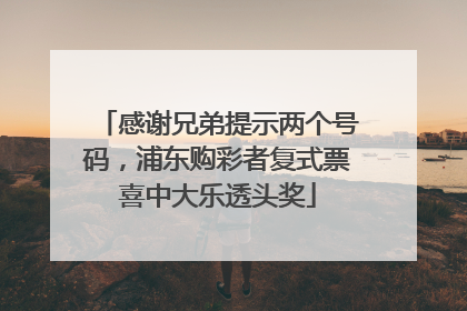感谢兄弟提示两个号码，浦东购彩者复式票喜中大乐透头奖