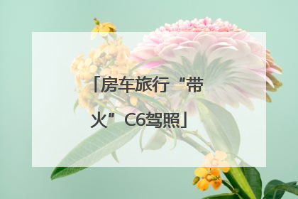 房车旅行“带火”C6驾照