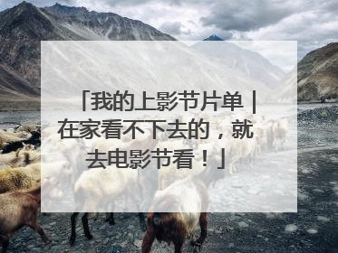 我的上影节片单｜在家看不下去的，就去电影节看！
