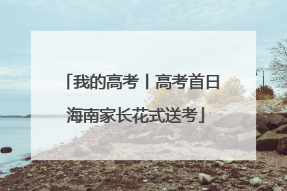 我的高考丨高考首日 海南家长花式送考