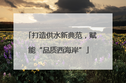 打造供水新典范，赋能“品质西海岸”