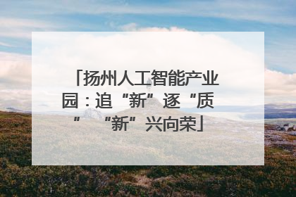 扬州人工智能产业园：追“新”逐“质” “新”兴向荣