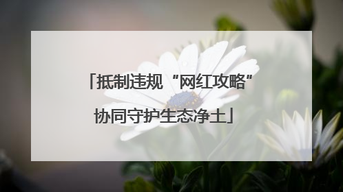 抵制违规“网红攻略” 协同守护生态净土