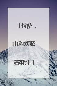 拉萨：山沟欢腾赛牦牛