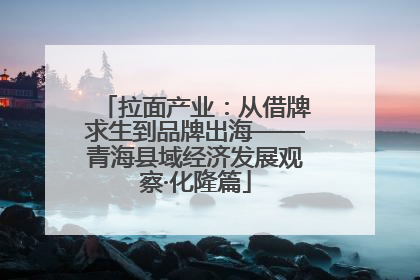拉面产业：从借牌求生到品牌出海——青海县域经济发展观察·化隆篇
