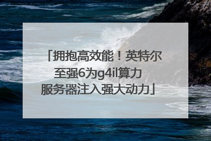 拥抱高效能！英特尔至强6为g4il算力服务器注入强大动力