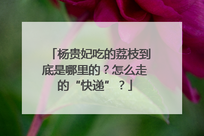 杨贵妃吃的荔枝到底是哪里的？怎么走的“快递”？