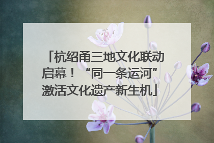 杭绍甬三地文化联动启幕！“同一条运河”激活文化遗产新生机