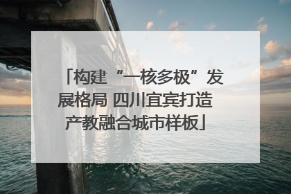 构建“一核多极”发展格局 四川宜宾打造产教融合城市样板