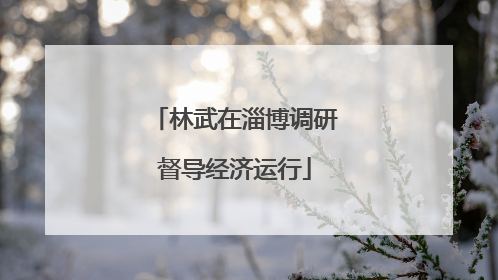 林武在淄博调研督导经济运行