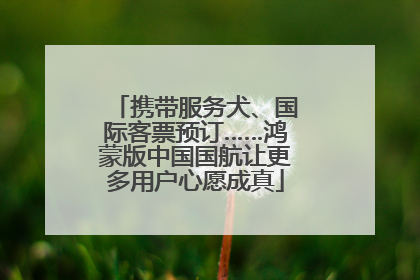 携带服务犬、国际客票预订……鸿蒙版中国国航让更多用户心愿成真