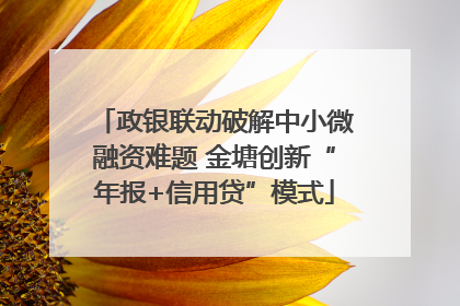 政银联动破解中小微融资难题 金塘创新“年报+信用贷”模式