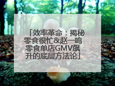 效率革命：揭秘零食很忙&赵一鸣零食单店GMV飙升的底层方法论
