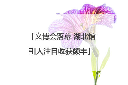 文博会落幕 湖北馆引人注目收获颇丰