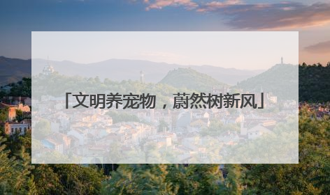 文明养宠物，蔚然树新风