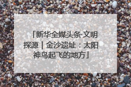 新华全媒头条·文明探源｜金沙遗址：太阳神鸟起飞的地方