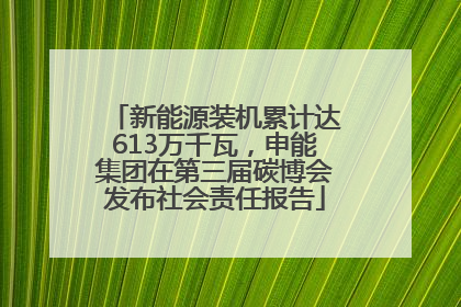 新能源装机累计达613万千瓦，申能集团在第三届碳博会发布社会责任报告