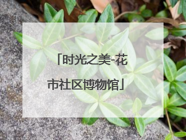 时光之美-花市社区博物馆