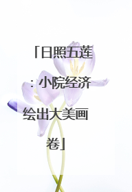 日照五莲：小院经济绘出大美画卷