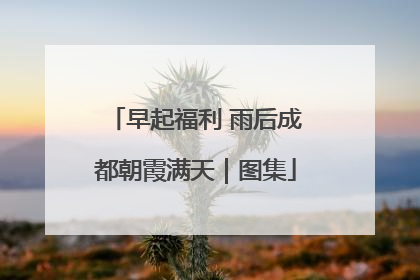 早起福利 雨后成都朝霞满天｜图集