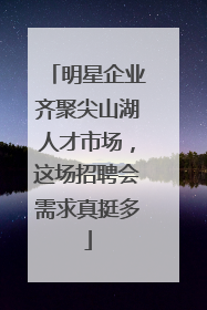 明星企业齐聚尖山湖人才市场，这场招聘会需求真挺多