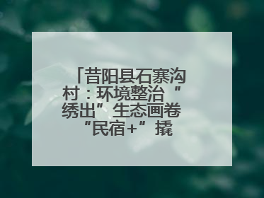昔阳县石寨沟村：环境整治“绣出”生态画卷 “民宿+”撬动农文旅融合