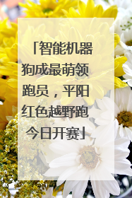 智能机器狗成最萌领跑员，平阳红色越野跑今日开赛