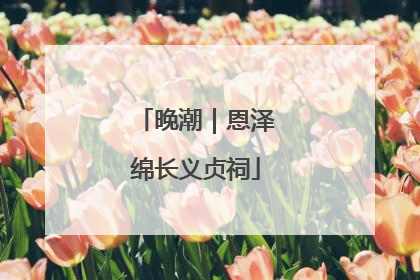 晚潮｜恩泽绵长义贞祠