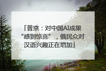 普京：对中国AI成果“感到惊喜”，俄民众对汉语兴趣正在增加