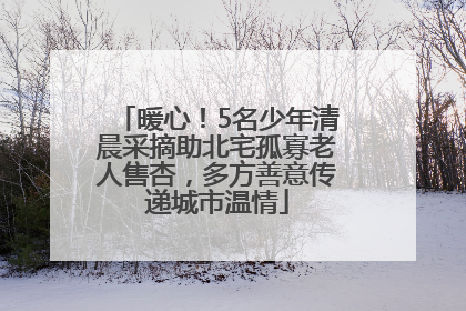 暖心！5名少年清晨采摘助北宅孤寡老人售杏，多方善意传递城市温情
