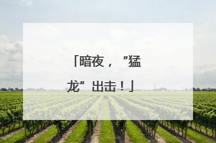 暗夜，“猛龙”出击！